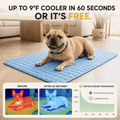 ArcticPaws™ - Self-Cooling Dog Mat 2.0
